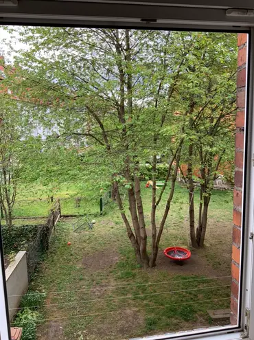 3 room apartment with 65 m² in Erfurt – Photo 4