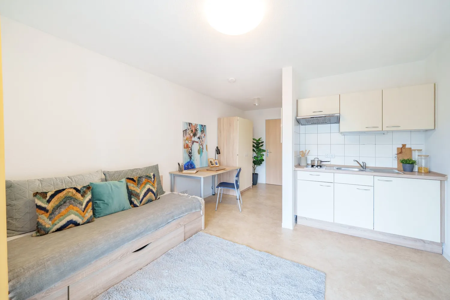1 Zimmer Wohnung mit 27 m² in Dresden – Bild 2
