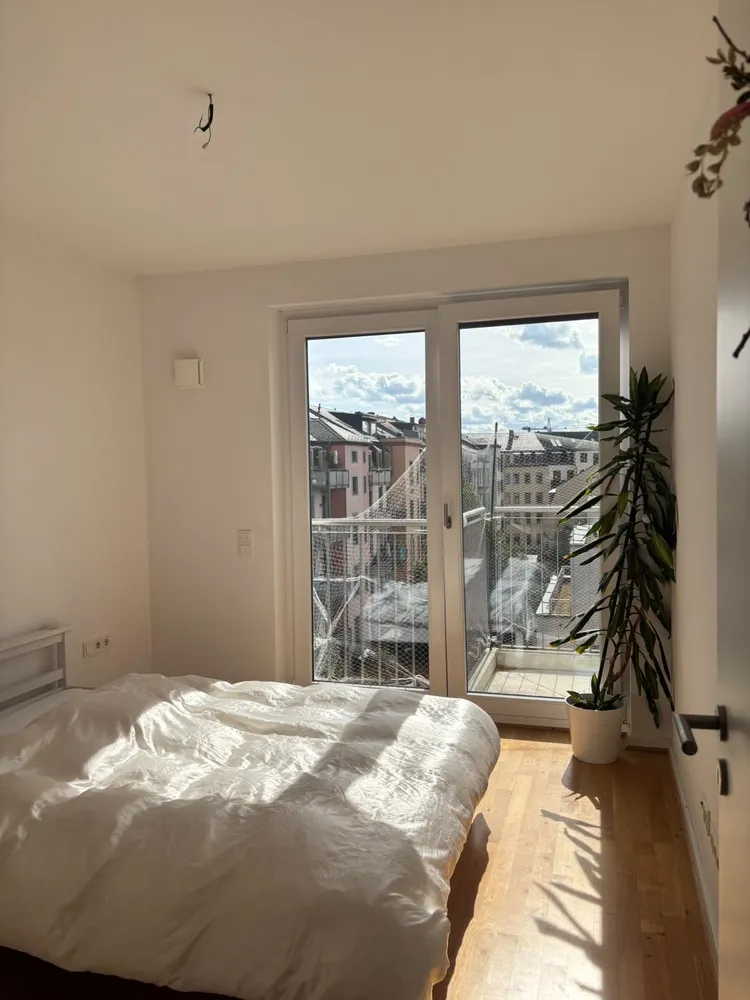 2 room apartment with 55 m² in Dresden – Photo 2