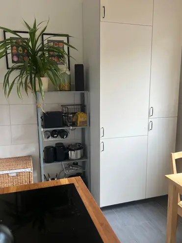 3 Zimmer Wohnung mit 77 m² in Dresden – Bild 3