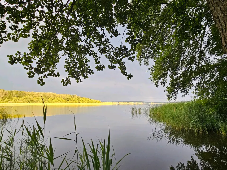 3 Zimmer Haus mit 50 m² in Lübeck – Bild 8