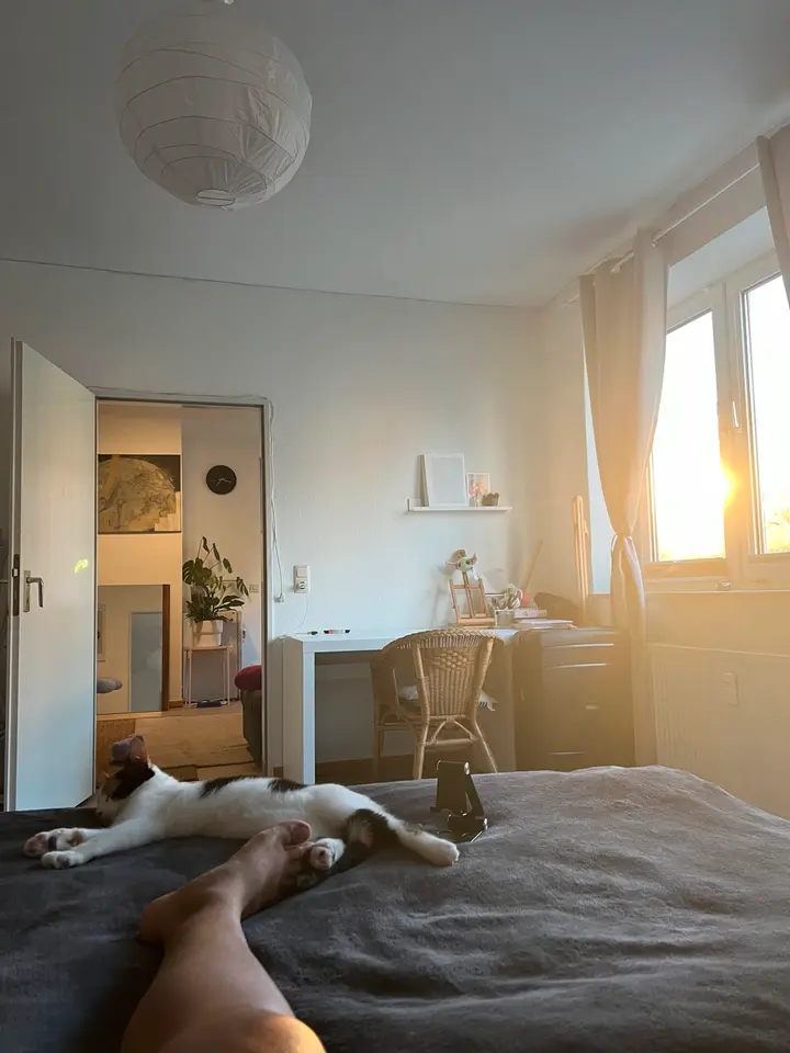 2 Zimmer Wohnung mit 44 m² in Kiel – Bild 3