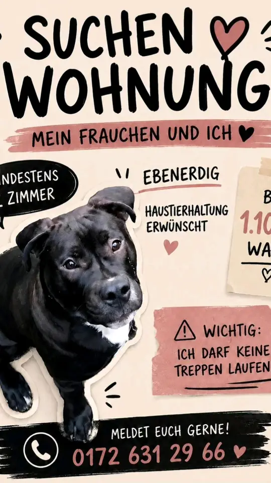 2 Zimmer Wohnung mit 30 m² in Kiel – Bild 5