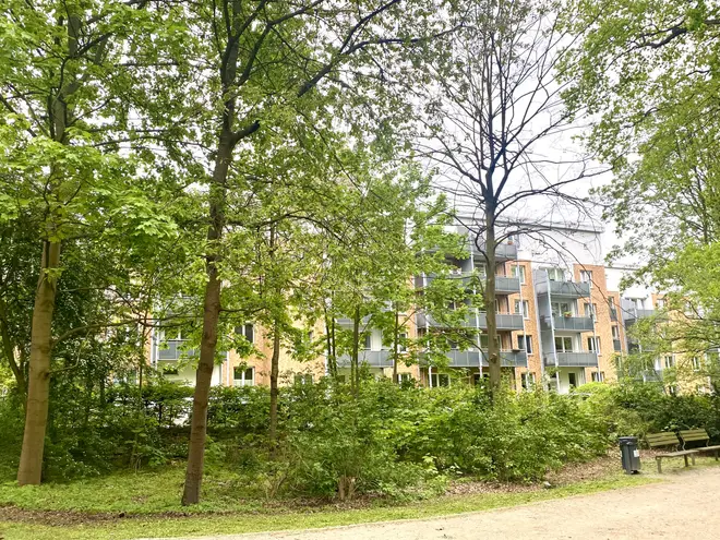 3 Zimmer Wohnung mit 64 m² in Hamburg – Bild 3