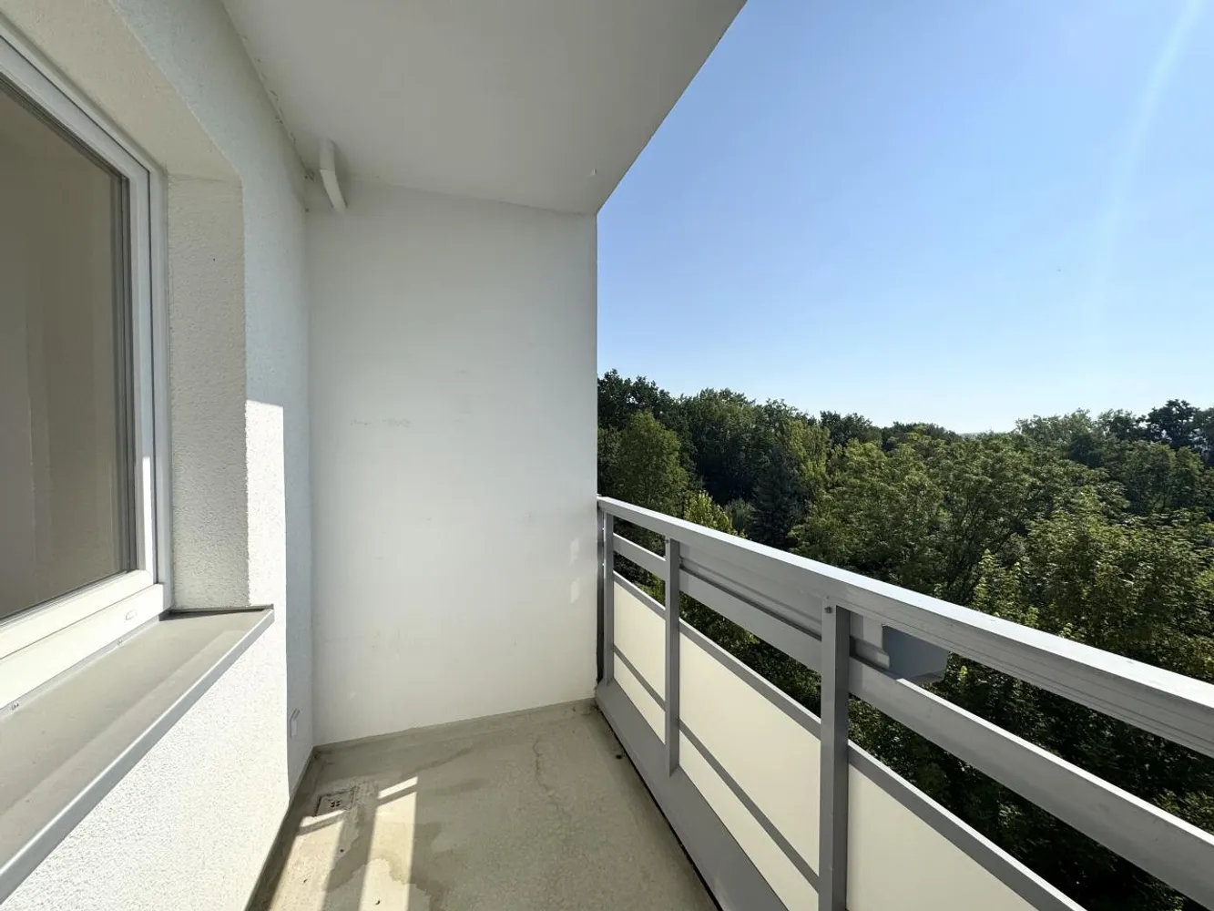2 room apartment with 46 m² in Chemnitz – Photo 2