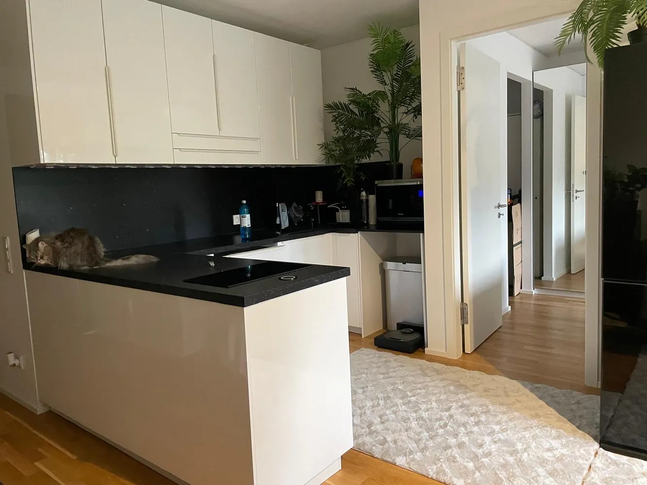 2 Zimmer Wohnung mit 51 m² in Frankfurt am Main – Bild 3