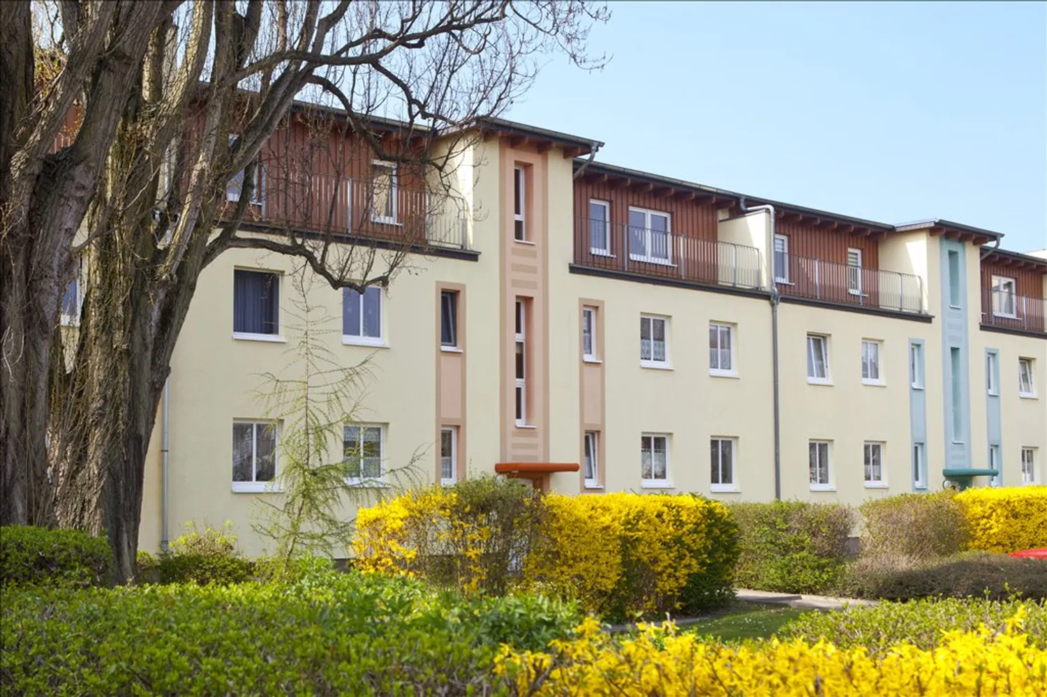 1 room apartment with 45 m² in Magdeburg – Photo 8