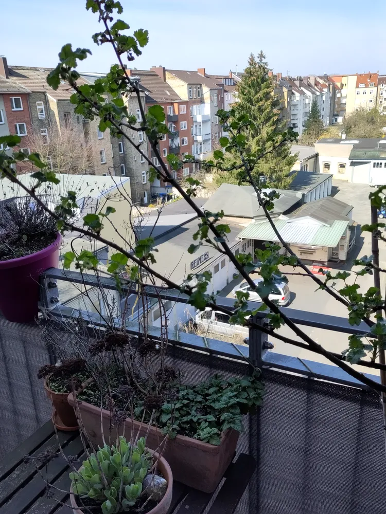 2 Zimmer Wohnung mit 69 m² in Kiel – Bild 12