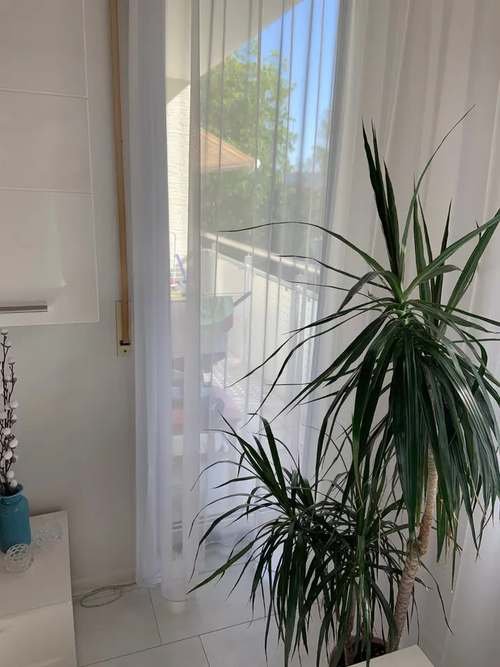 3 Zimmer Wohnung mit 68 m² in Kaiserslautern – Bild 4
