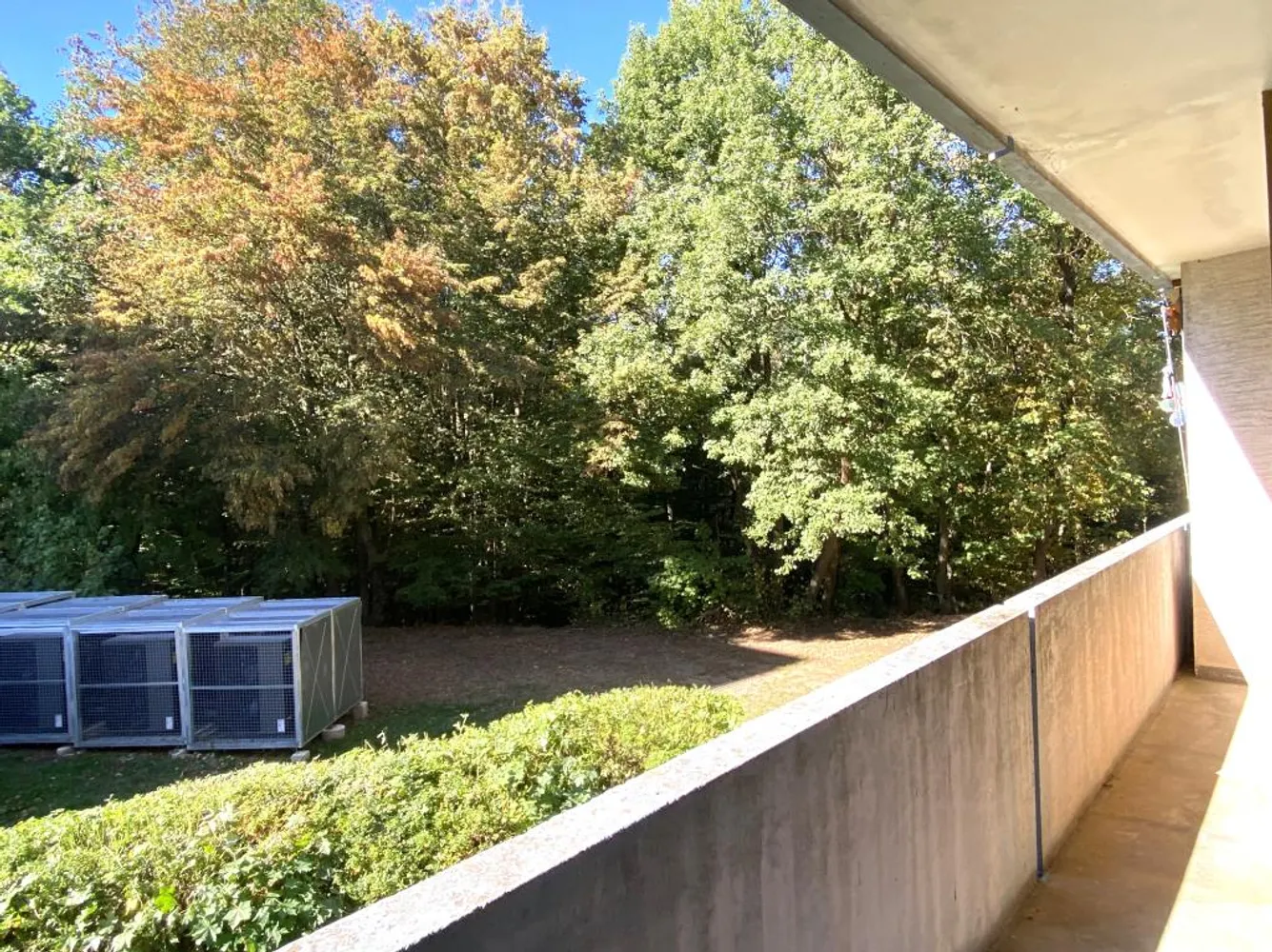 2 Zimmer Wohnung mit 39 m² in Kaiserslautern – Bild 10