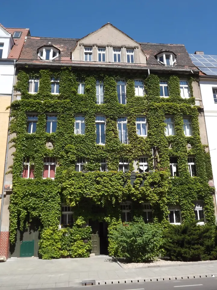 2 Zimmer Wohnung mit 53 m² in Halle (Saale) – Bild 5