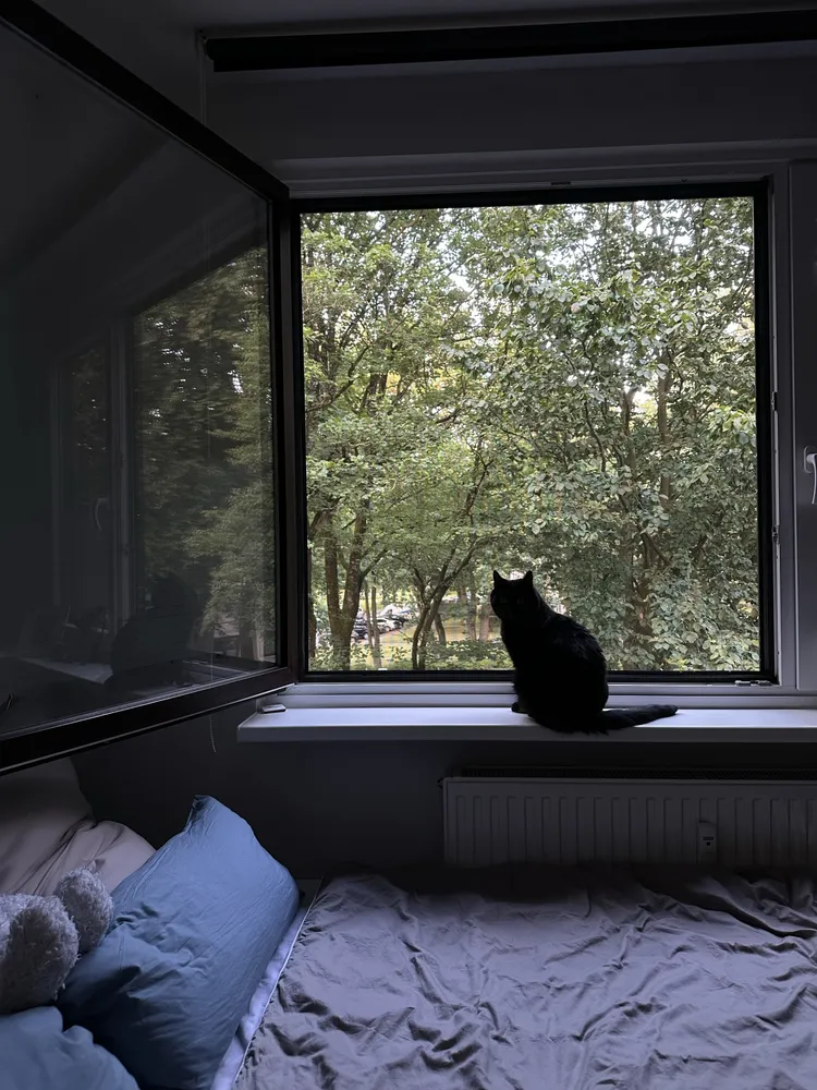 1 Zimmer Wohnung mit 15 m² in Hamburg – Bild 5