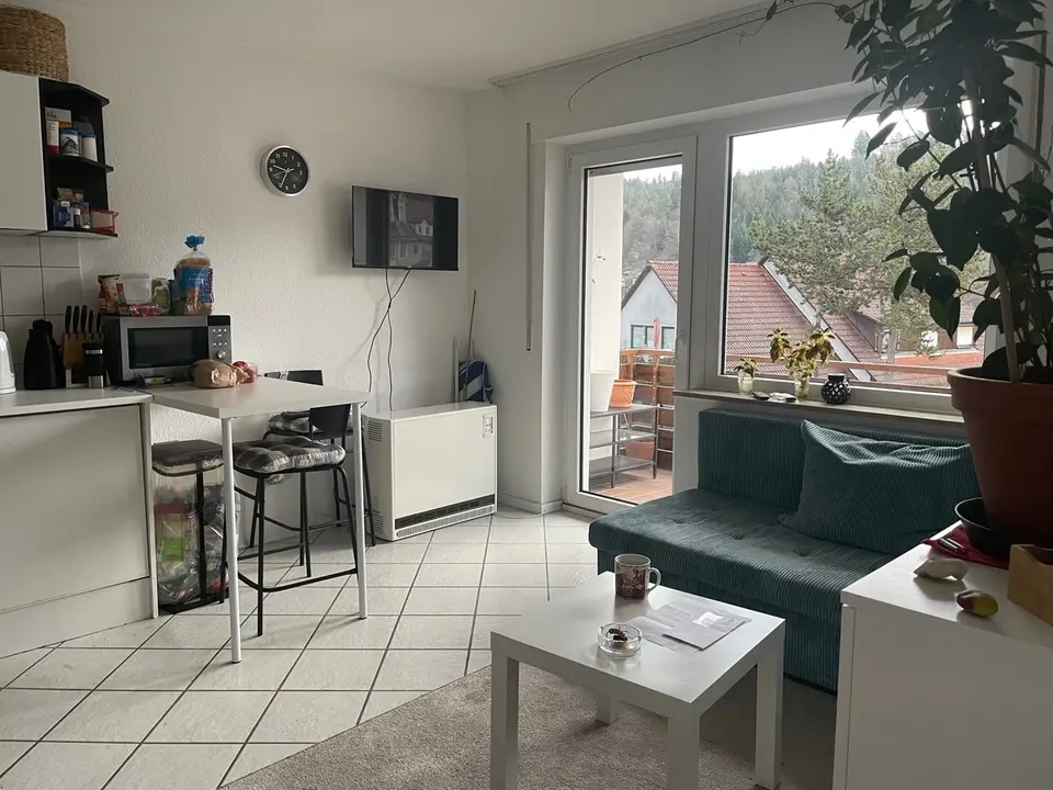 2 Zimmer Wohnung mit 36 m² in Calw – Bild 1