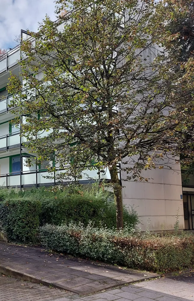 1 Zimmer Wohnung mit 35 m² in München – Bild 2