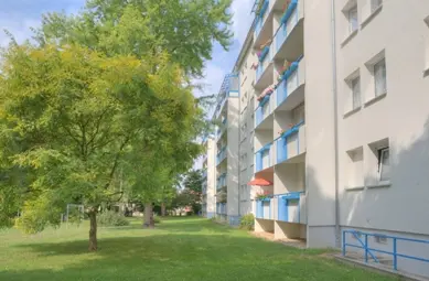 2 Zimmer Wohnung mit 49 m² in Halle (Saale) – Bild 3