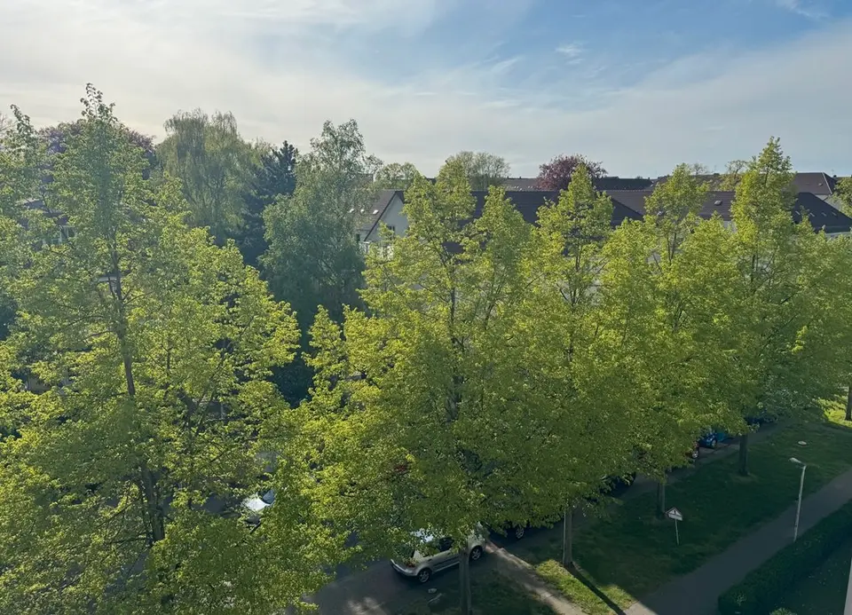 2 Zimmer Wohnung mit 24 m² in Braunschweig – Bild 7