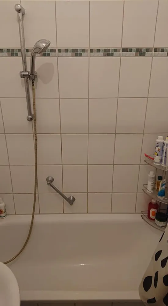 2 Zimmer Wohnung mit 520 m² in Dresden – Bild 7