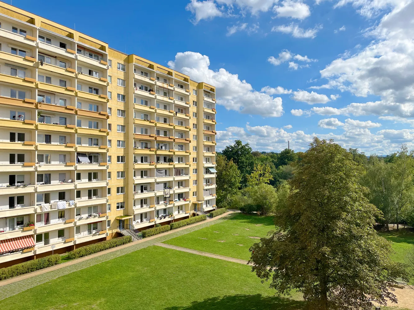 1 Zimmer Wohnung mit 38 m² in Zwickau – Bild 5