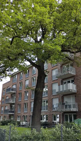 3 Zimmer Wohnung mit 65 m² in Hamburg – Bild 7
