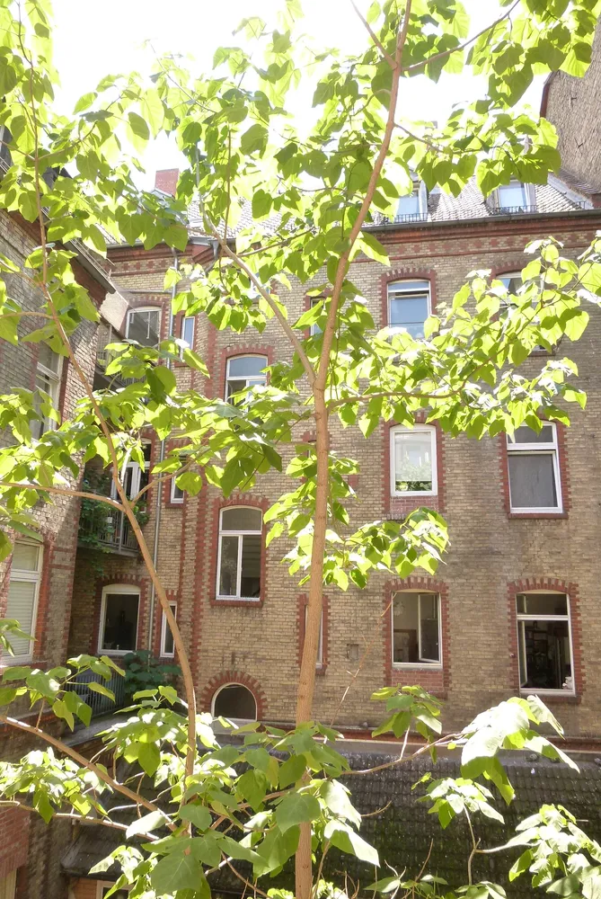 3 Zimmer Wohnung mit 76 m² in Wiesbaden – Bild 1
