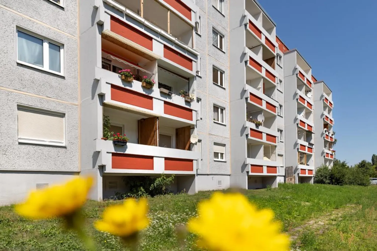 1 Zimmer Wohnung mit 35 m² in Halle (Saale) – Bild 1