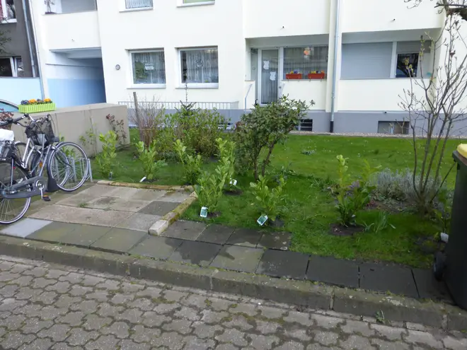 2 Zimmer Wohnung mit 62 m² in Duisburg – Bild 2
