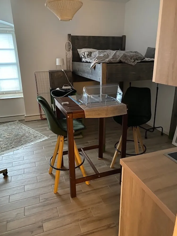 1 room apartment with 28 m² in Dresden – Photo 1