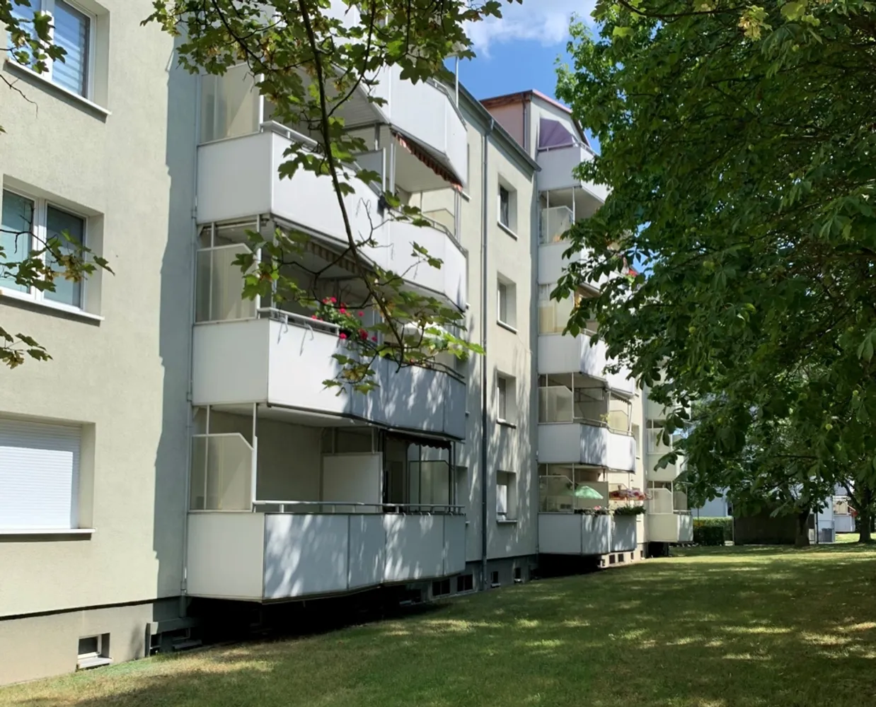 3 room apartment with 58 m² in Kamenz – Photo 3