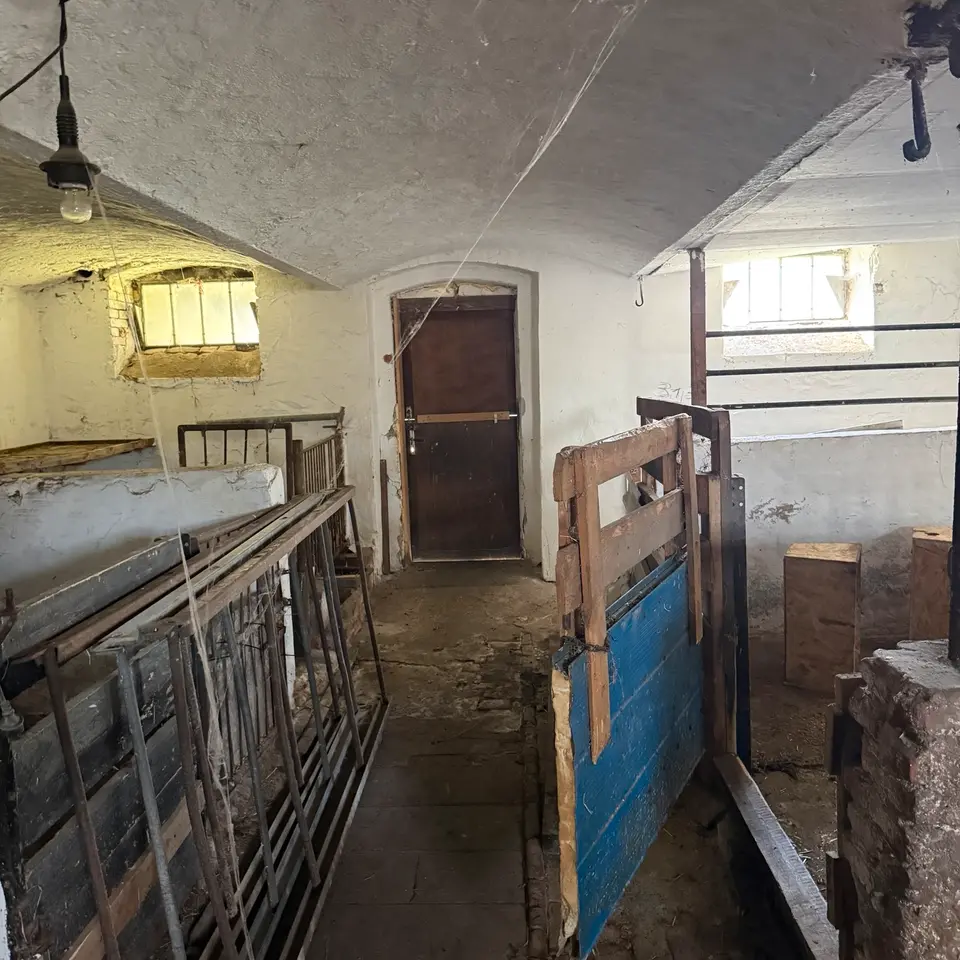 10 Zimmer Haus mit 300 m² in Aue-Bad Schlema – Bild 5