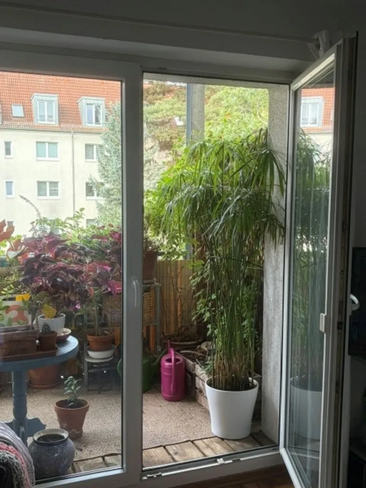 2 Zimmer Wohnung mit 49 m² in Dresden – Bild 1