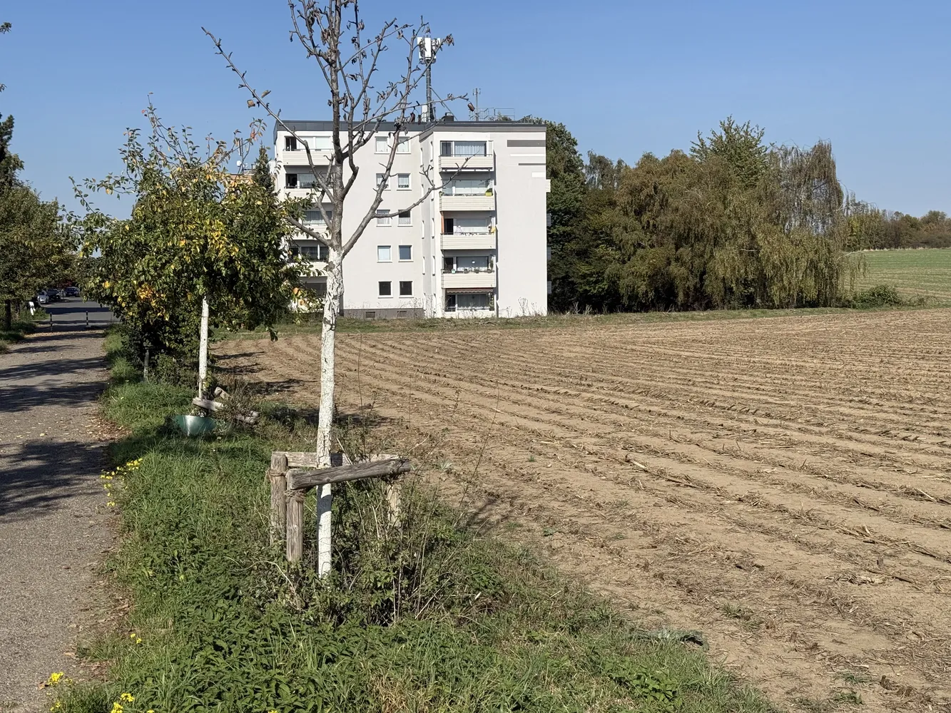 1 Zimmer Wohnung mit 42 m² in Dortmund – Bild 2