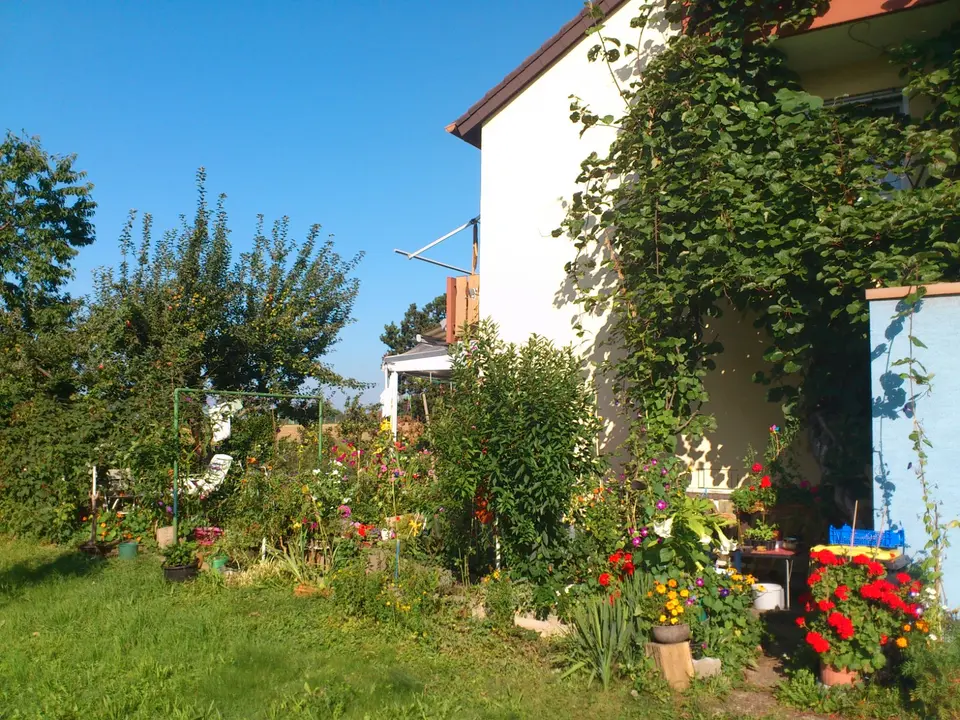 Studio mit 27 m² in Kirchheim unter Teck – Bild 5