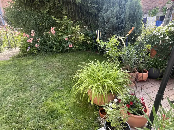 5 Zimmer Haus mit 118 m² in Wittenberg – Bild 12