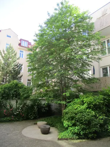 3 Zimmer Wohnung mit 77 m² in München – Bild 6