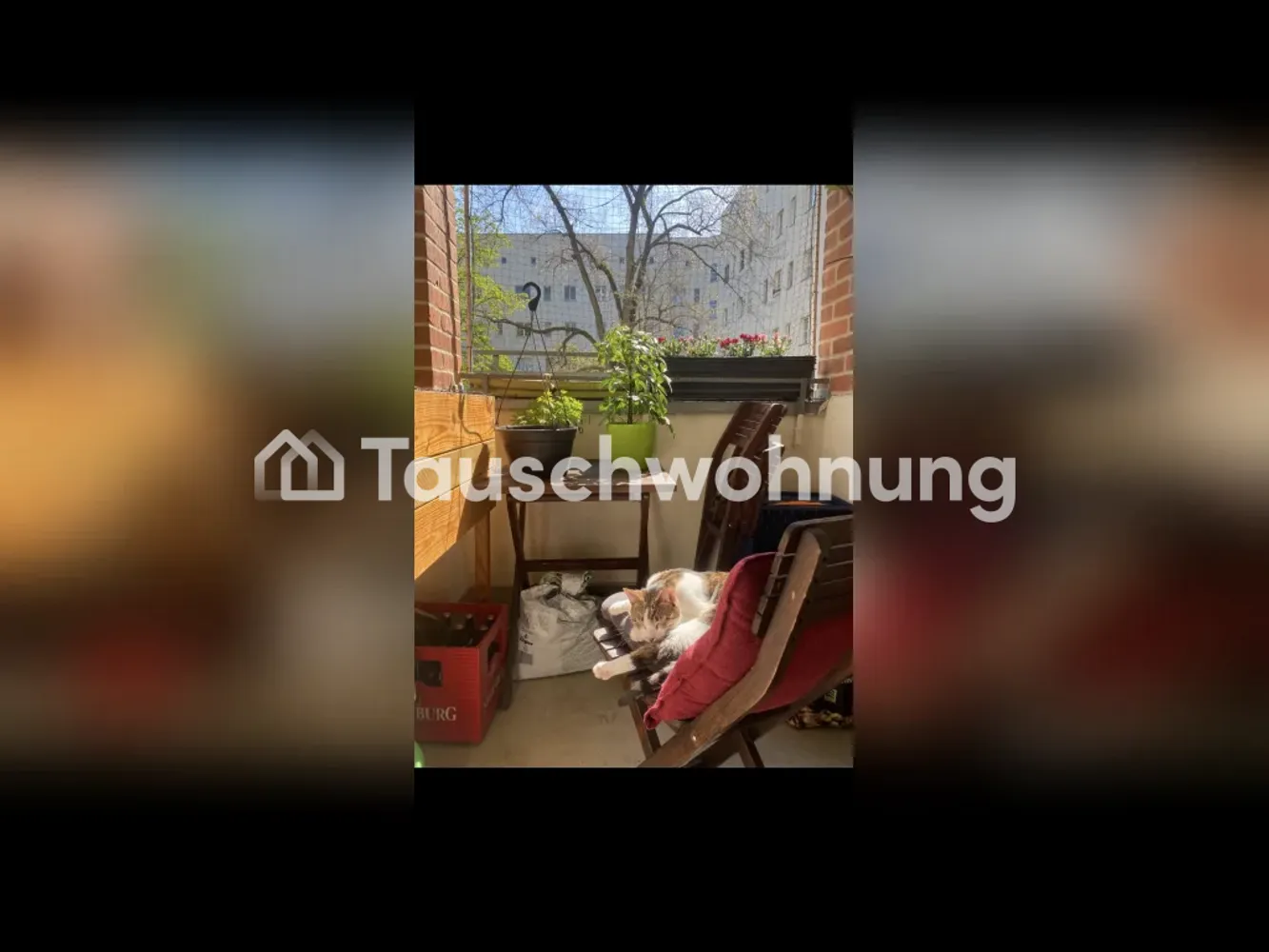2 Zimmer Wohnung mit 54 m² in Berlin – Bild 5