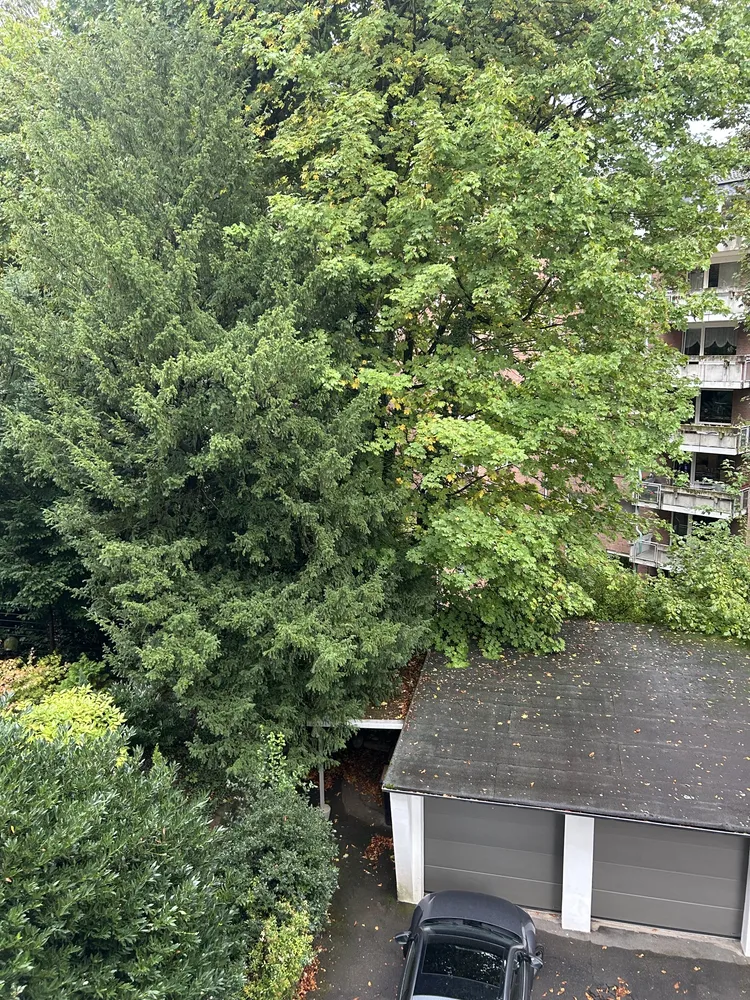 3 Zimmer Wohnung mit 85 m² in Wuppertal – Bild 12