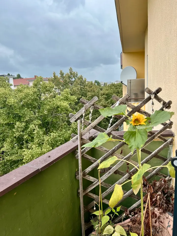 WG-Zimmer mit 38 m² in Berlin – Bild 4