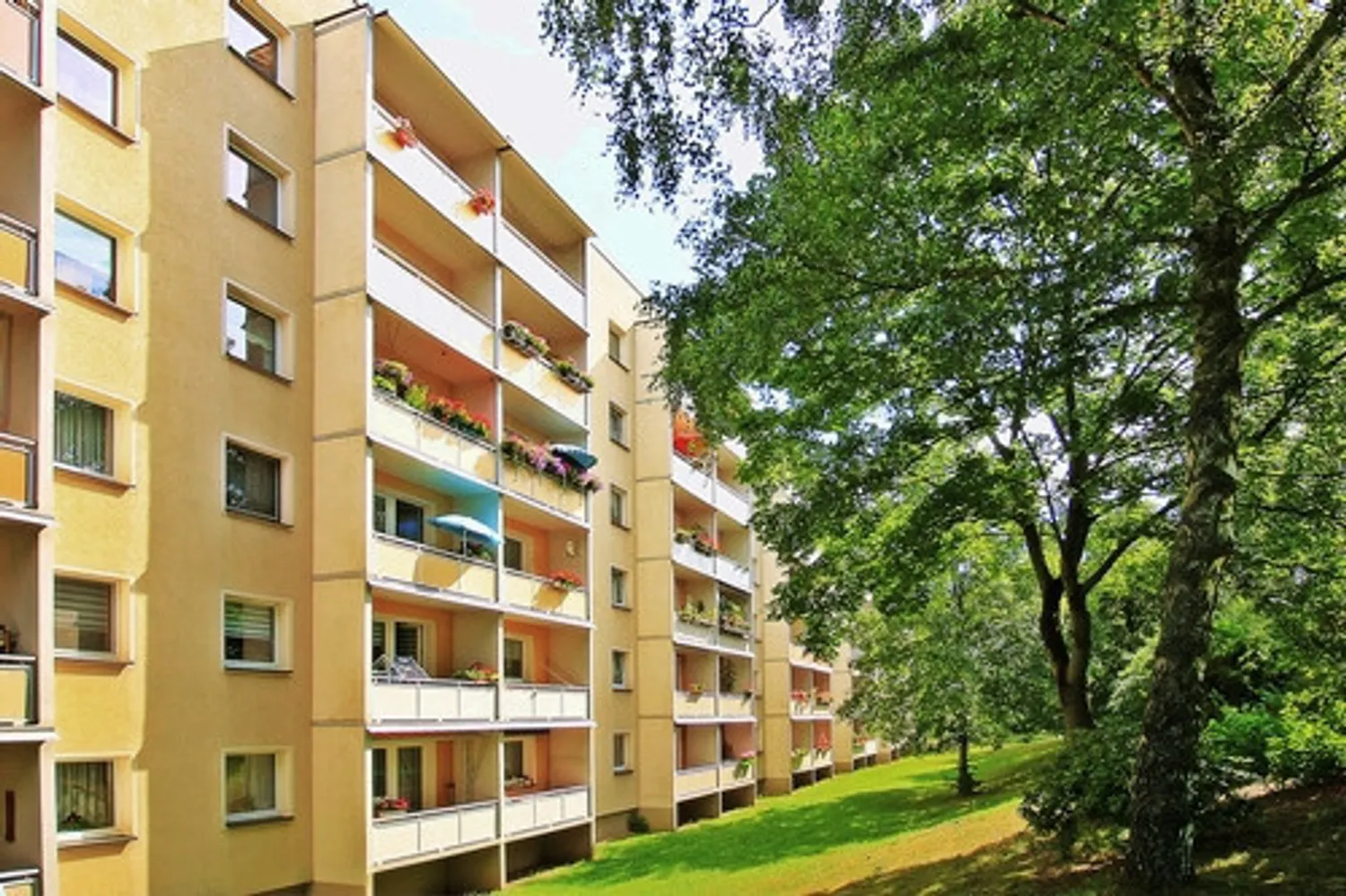 3 Zimmer Wohnung mit 57 m² in Zwickau – Bild 6