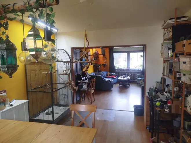 2 Zimmer Wohnung mit 25 m² in Aachen – Bild 9