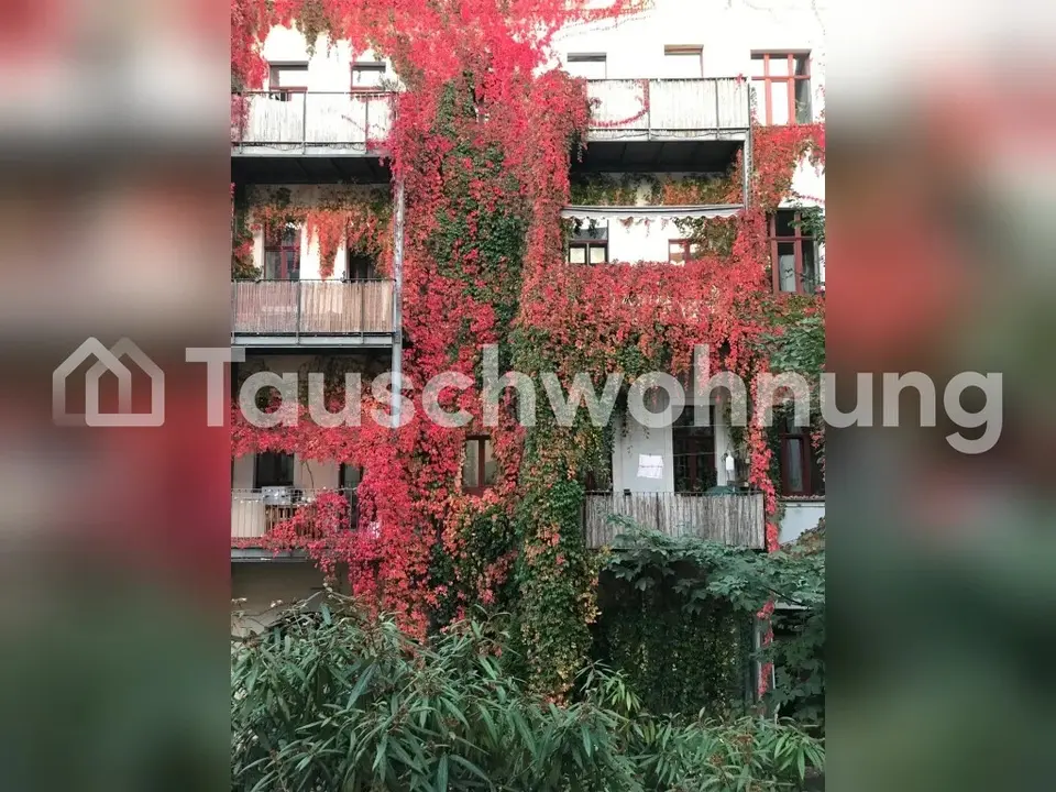 3 Zimmer Wohnung mit 67 m² in Dresden – Bild 2