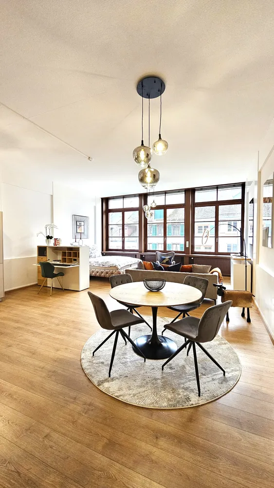 1 Zimmer Wohnung mit 65 m² in Waldshut-Tiengen – Bild 3