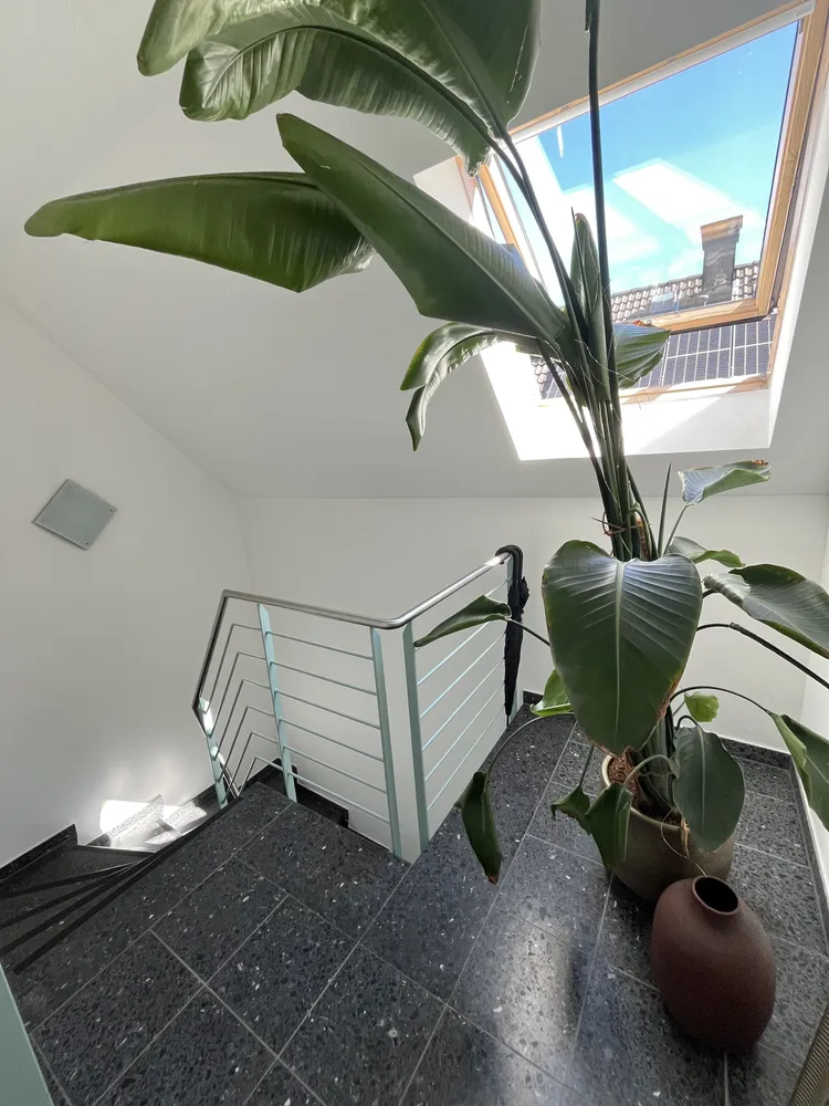 3 room apartment with 65 m² in Cologne – Photo 10