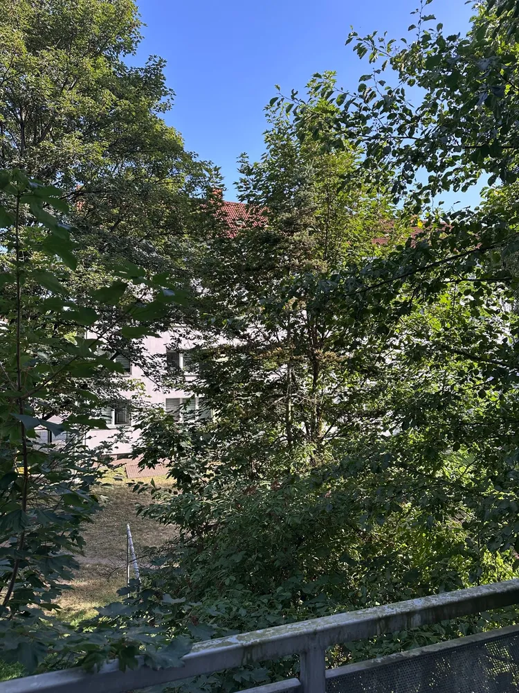 2 room apartment with 56 m² in Chemnitz – Photo 4