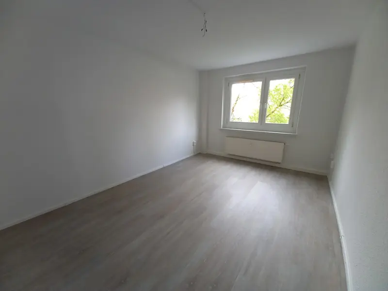 Studio mit 27 m² in Dresden – Bild 1