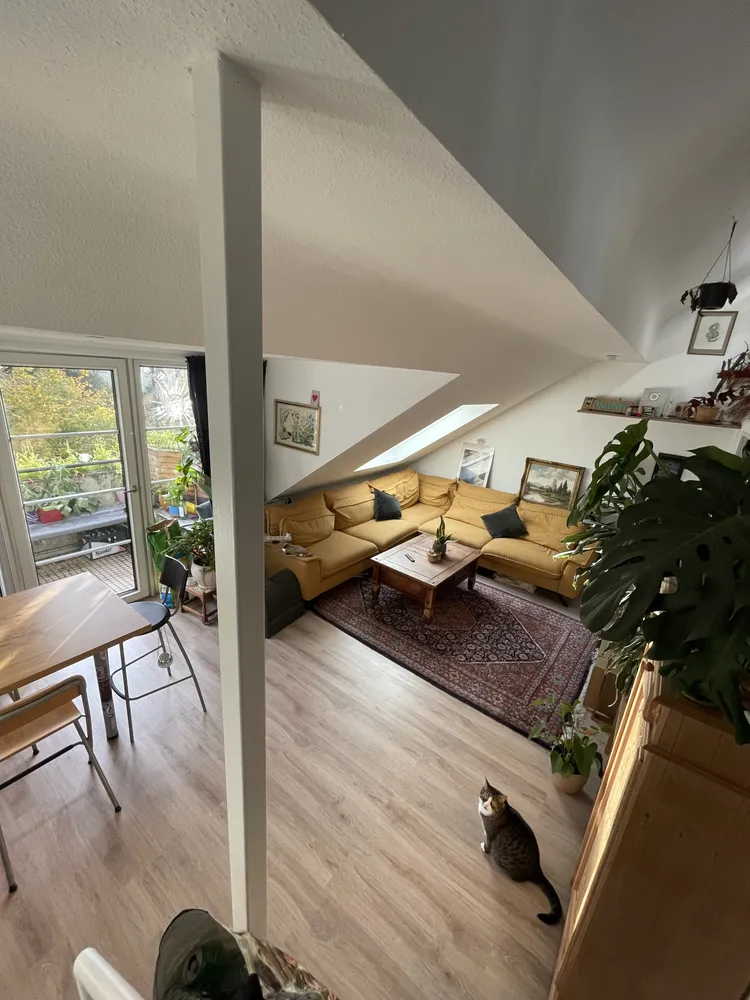 2 Zimmer Wohnung mit 55 m² in Mülheim an der Ruhr – Bild 3