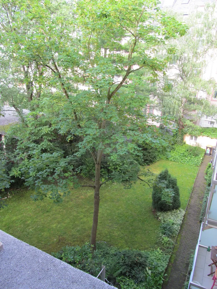3 room apartment with 66 m² in Frankfurt am Main – Photo 3