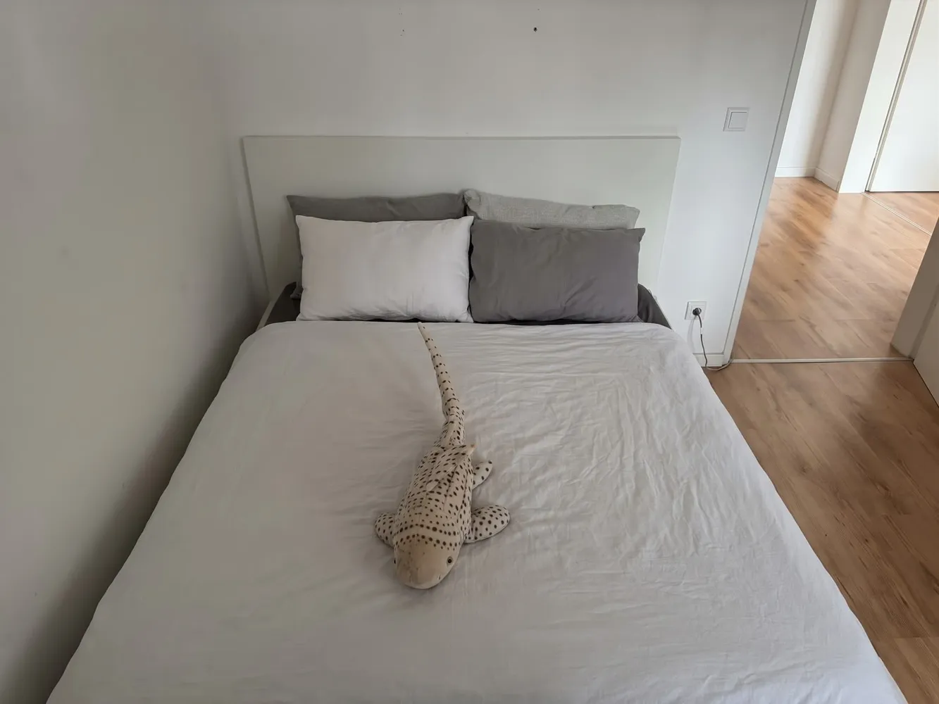 2 room apartment with 68 m² in Grevenbroich – Photo 7