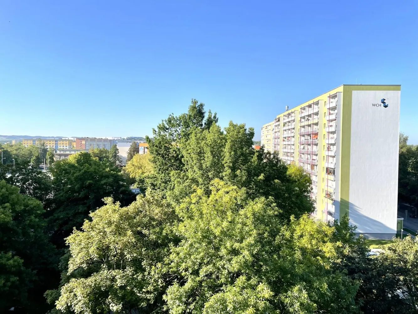 1 room apartment with 32 m² in Chemnitz – Photo 7