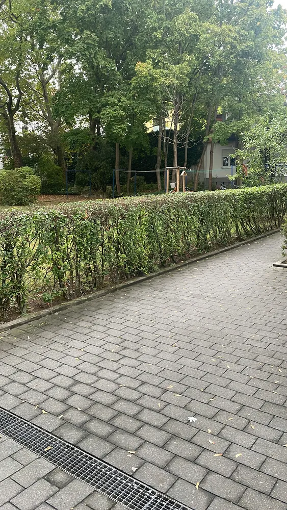 3 room apartment with 67 m² in Darmstadt – Photo 2