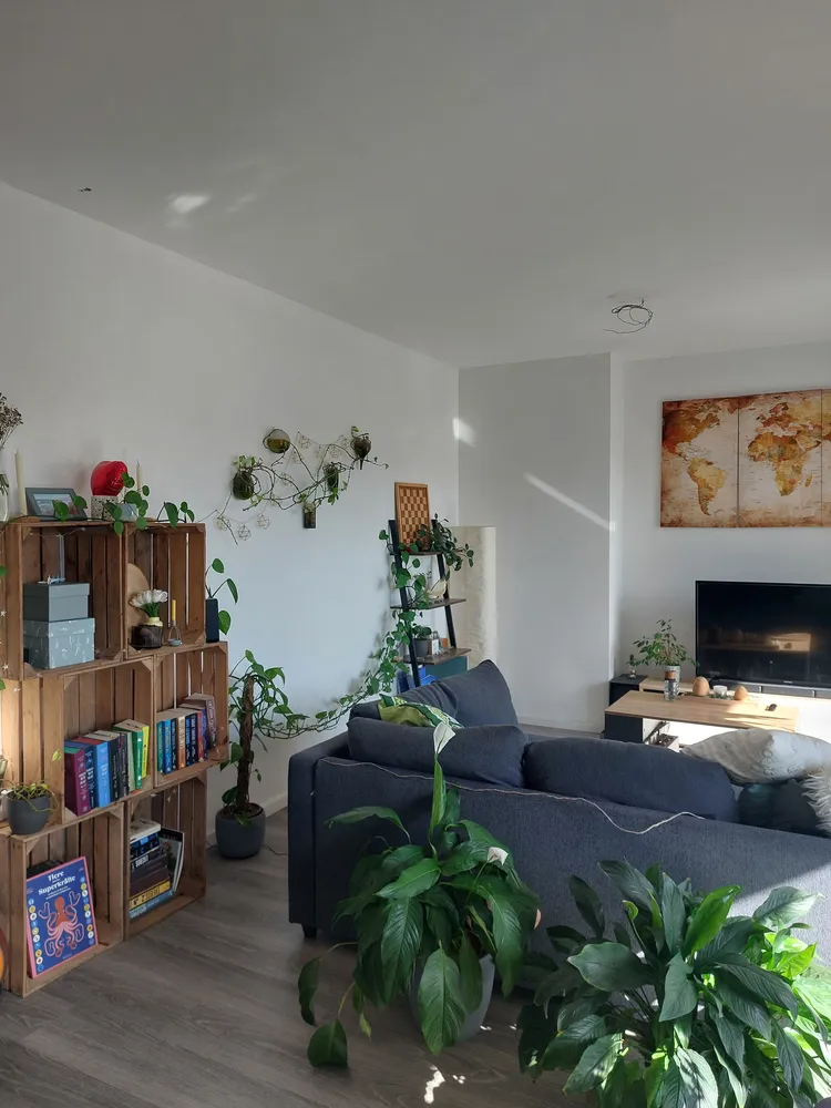 3 room apartment with 75 m² in Düsseldorf – Photo 2